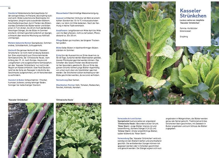 Produktbild: Klimastarke Gem&uuml;se