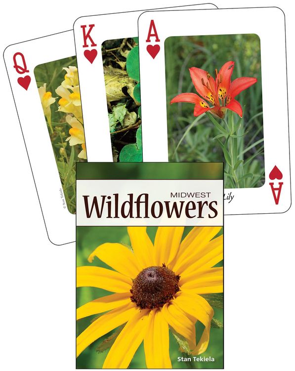 Produktbild: Wildflowers of the Midwest Playing Cards