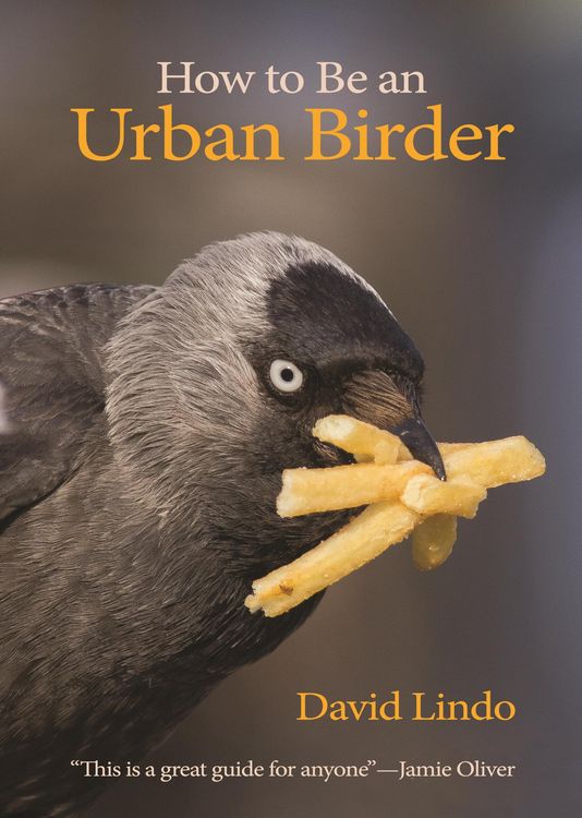 Produktbild: How to Be an Urban Birder