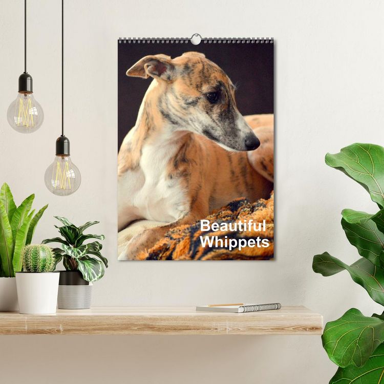 Produktbild: Beautiful Whippets (Wall Calendar 2026 DIN A3 portrait), CALVENDO 12 Month Wall Calendar