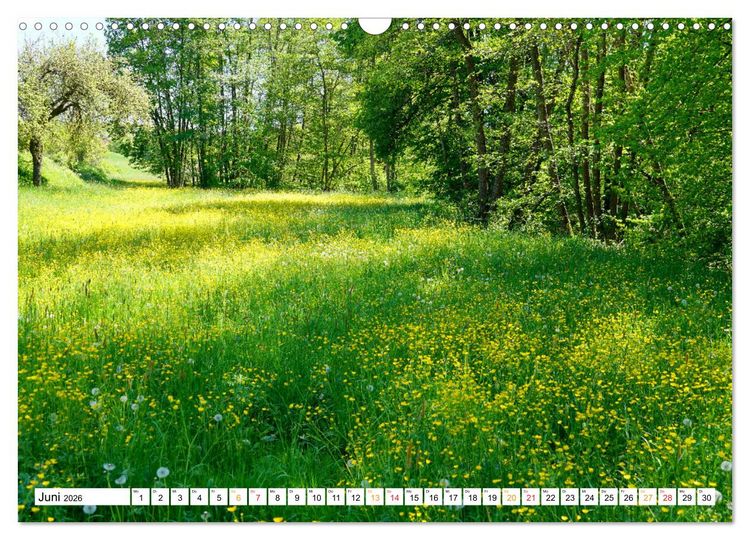 Produktbild: 12 Monate Natur (Wandkalender 2026 DIN A3 quer), CALVENDO Monatskalender