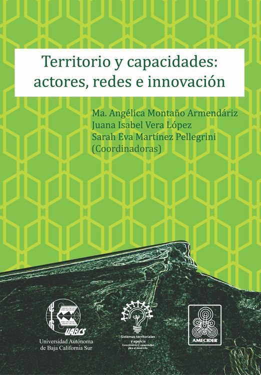 Produktbild: Territorio y capacidades: actores, redes e innovaci&oacute;n