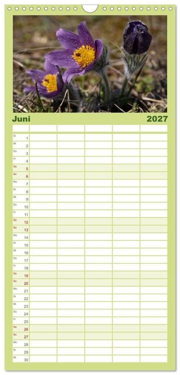 Produktbild: Familienplaner 2027 - Fr&uuml;hlingsbl&uuml;her - Farbenpracht nach dem Winter mit 5 Spalten (Wandkalender, 21 x 45 cm) CALVENDO