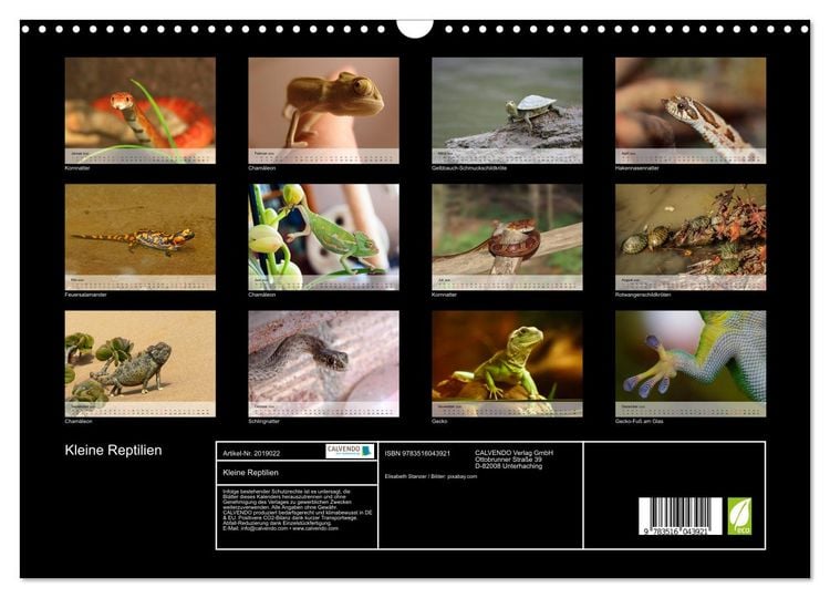 Produktbild: Kleine Reptilien (Wandkalender 2026 DIN A3 quer), CALVENDO Monatskalender