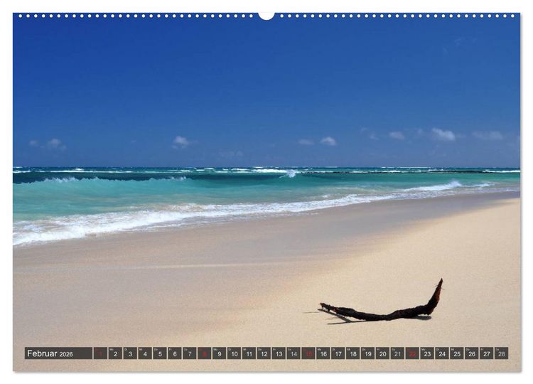 Produktbild: Ich will Meer ! (Wandkalender 2026 DIN A2 quer), CALVENDO Monatskalender