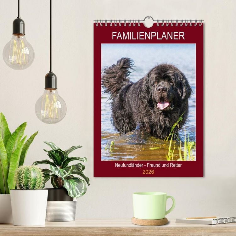 Produktbild: Familienplaner Neufundl&auml;nder - Freund und Retter (Wandkalender 2026 DIN A4 hoch), CALVENDO Monatskalender