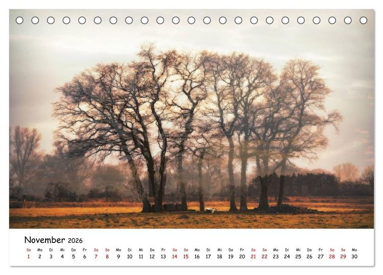 Produktbild: Pinneberger Art (Tischkalender 2026 DIN A5 quer), CALVENDO Monatskalender