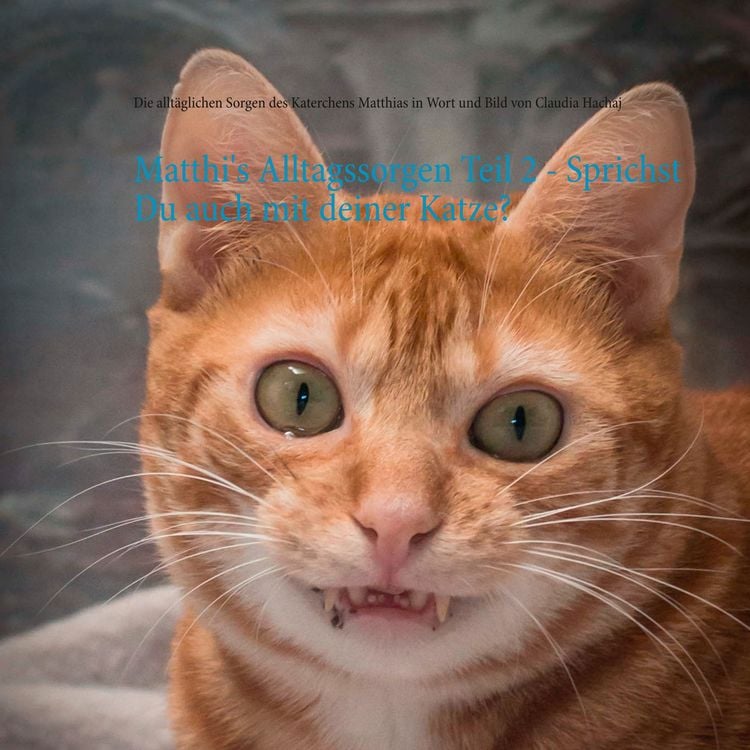Produktbild: Matthi's Alltagssorgen Teil 2 - Sprichst Du auch mit deiner Katze?