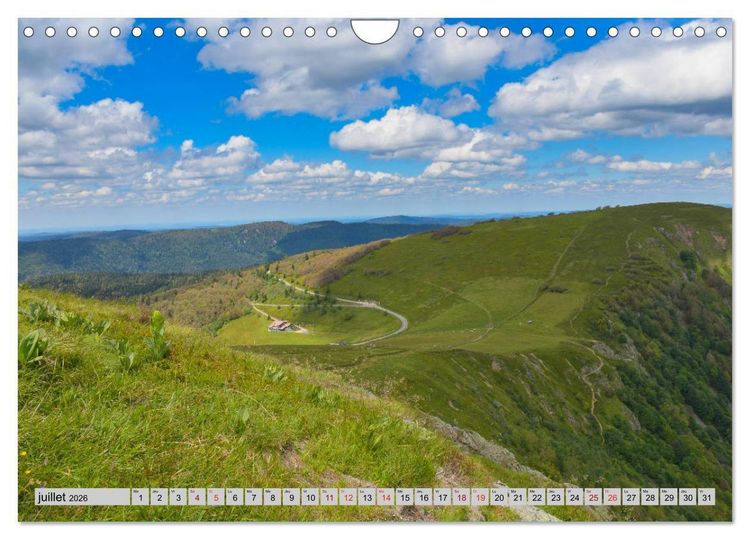 Produktbild: Splendeurs des Vosges (Calendrier mural 2026 DIN A4 vertical), CALVENDO calendrier mensuel