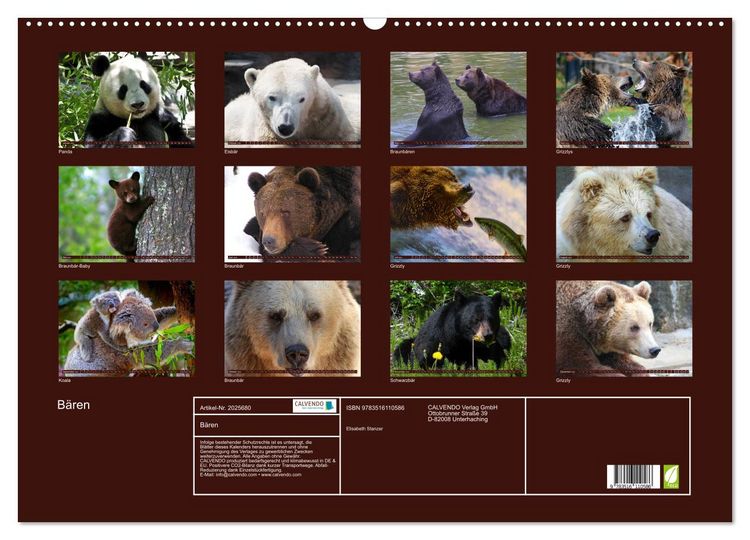 Produktbild: B&auml;ren (Wandkalender 2026 DIN A2 quer), CALVENDO Monatskalender
