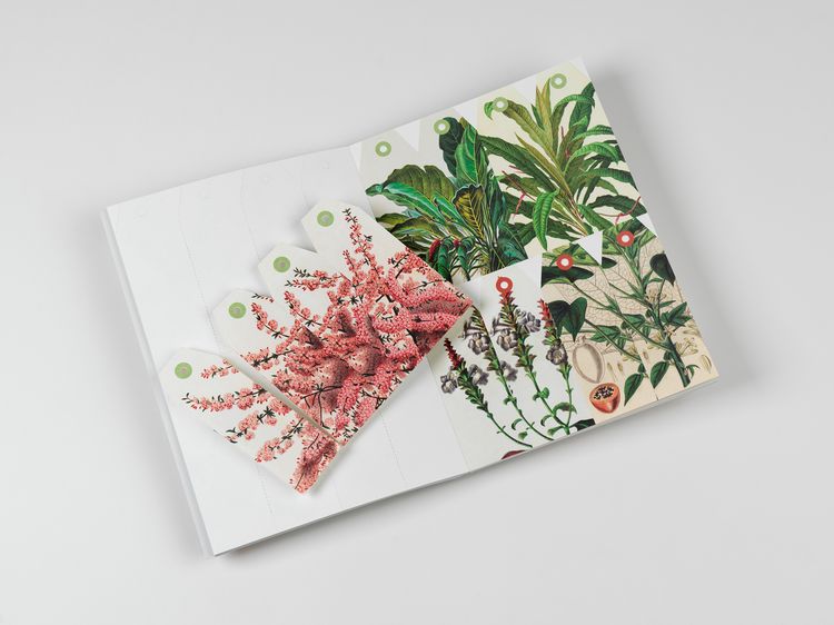 Produktbild: Natural History