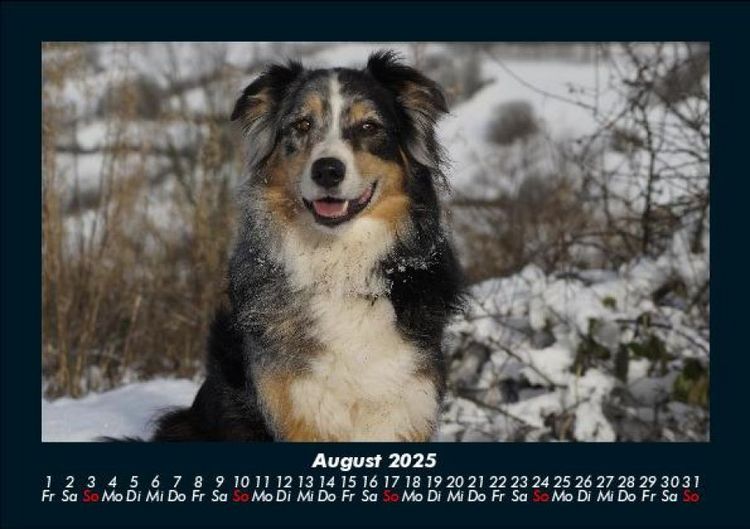 Produktbild: Winterzauber 2025 Fotokalender DIN A5