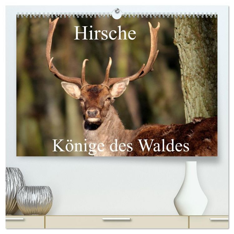 Produktbild: Hirsche - K&ouml;nige des Waldes/Geburtstagskalender (hochwertiger Premium Wandkalender 2026 DIN A2 quer), Kunstdruck in Hochglanz