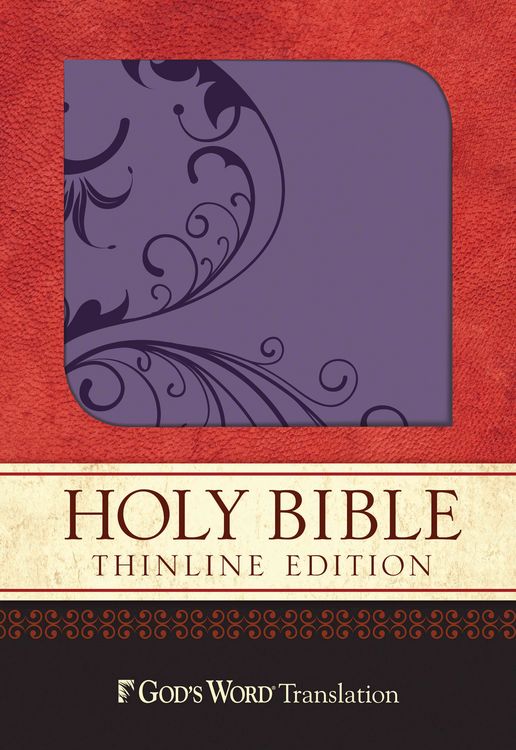 Produktbild: Thinline Bible-GW