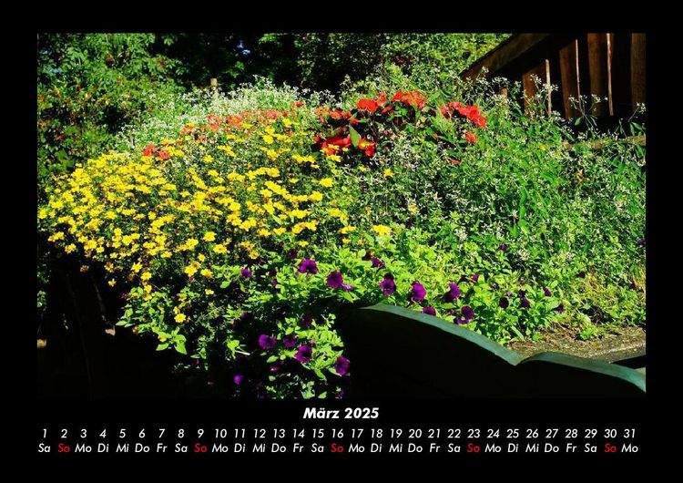 Produktbild: Blumenkalender 2025 Fotokalender DIN A3
