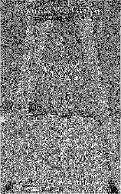 Produktbild: A Walk on the Wild Side