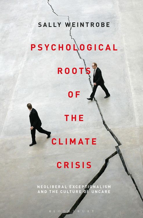 Produktbild: Psychological Roots of the Climate Crisis