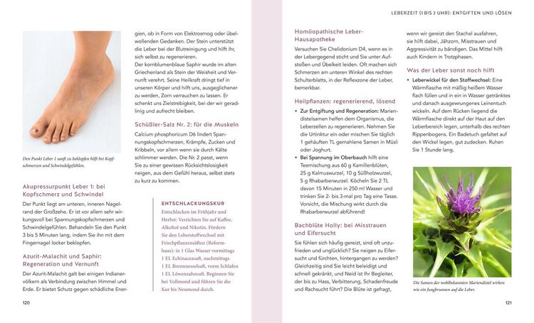 Produktbild: Die Organuhr