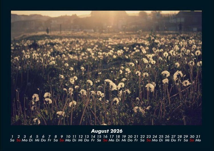 Produktbild: Blumentr&auml;ume 2026 Fotokalender DIN A4
