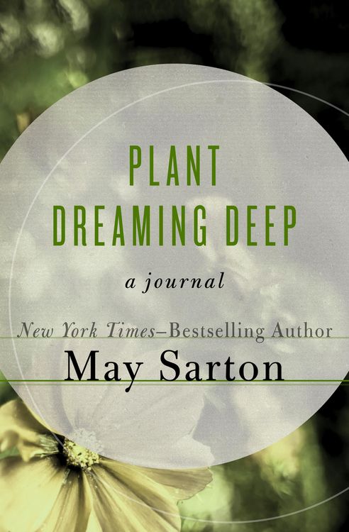 Produktbild: Plant Dreaming Deep