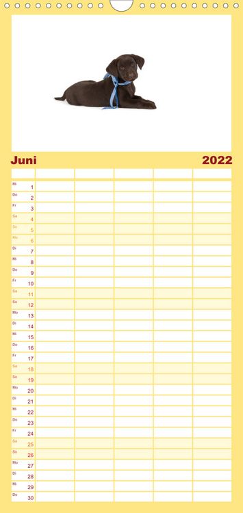Produktbild: Familienplaner Labrador - Welpen (Wandkalender 2022 , 21 cm x 45 cm, hoch)