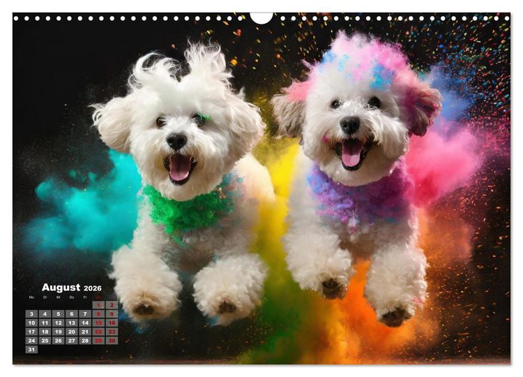 Produktbild: Holi Pulver - Doppelte Action (Wandkalender 2026 DIN A3 quer), CALVENDO Monatskalender