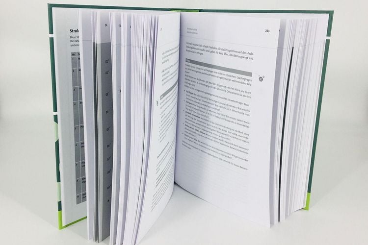 Produktbild: Handbuch Coaching und Beratung