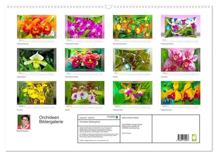 Produktbild: Orchideen Bildergalerie (Wandkalender 2026 DIN A2 quer), CALVENDO Monatskalender