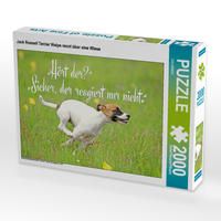 Produktbild: CALVENDO Puzzle Jack Russell Terrier Welpe rennt &uuml;ber eine Wiese | 2000 Teile Lege-Gr&ouml;&szlig;e 90x67cm Foto-Puzzle f&uuml;r gl&uuml;ckliche Stunden