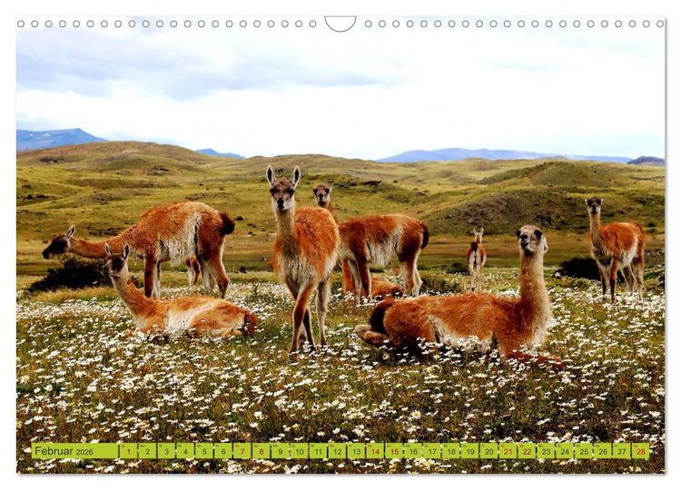 Produktbild: M&auml;rchenwelt Patagonien (Wandkalender 2026 DIN A3 quer), CALVENDO Monatskalender