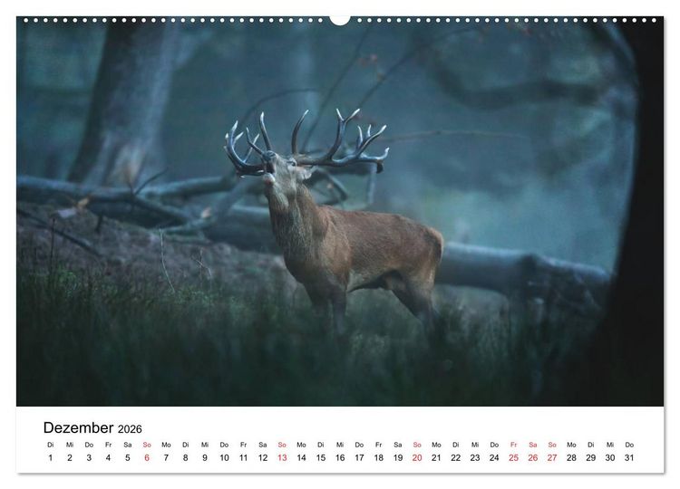 Produktbild: Unsere heimische Tierwelt (Wandkalender 2026 DIN A2 quer), CALVENDO Monatskalender