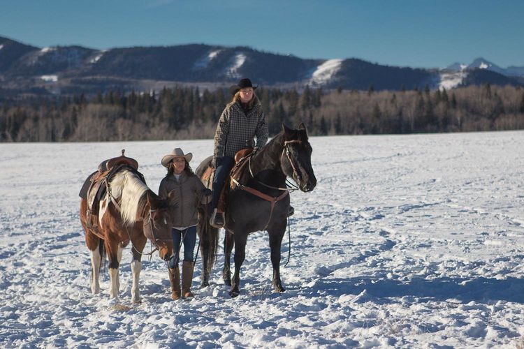 Produktbild: Heartland - Paradies f&uuml;r Pferde, Staffel 9 (Neuauflage) [6 DVDs]