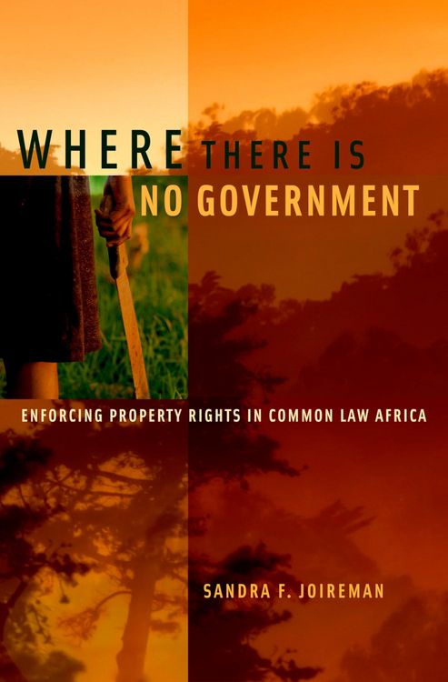 Produktbild: Where There is No Government