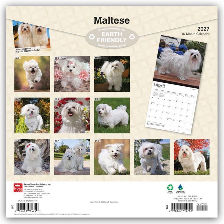 Produktbild: Maltese &ndash; Malteser 2027 &ndash; 16-Monatskalender