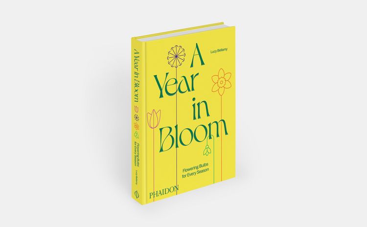 Produktbild: A Year in Bloom