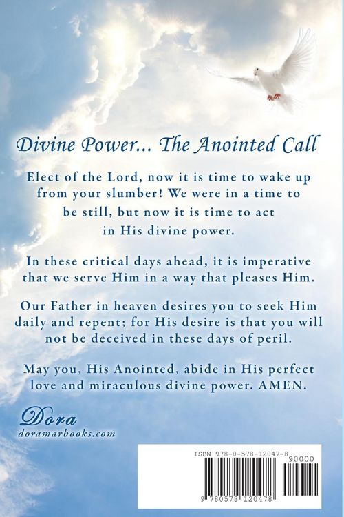 Produktbild: Divine Power... The Anointed Call