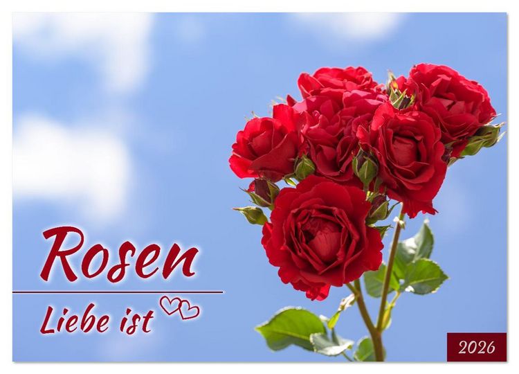 Produktbild: Rosen, Liebe ist (Wandkalender 2026 DIN A4 quer), CALVENDO Monatskalender