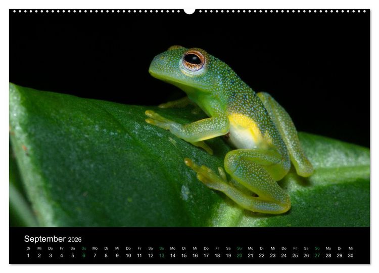 Produktbild: Costa Rica - Faszination Fr&ouml;sche (hochwertiger Premium Wandkalender 2026 DIN A2 quer), Kunstdruck in Hochglanz