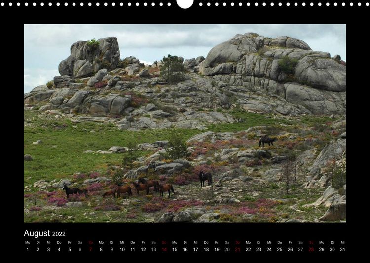 Produktbild: Garranos (Wandkalender 2022 DIN A3 quer)