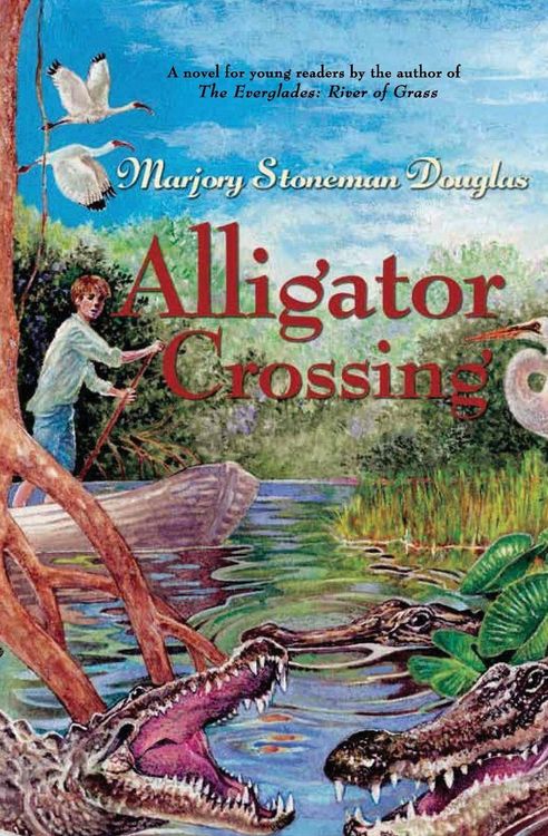 Produktbild: Alligator Crossing