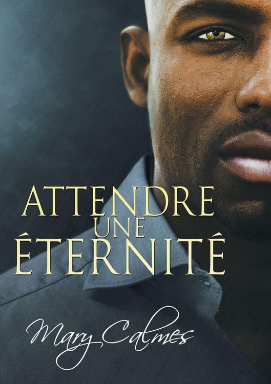 Produktbild: Attendre une &eacute;ternit&eacute;