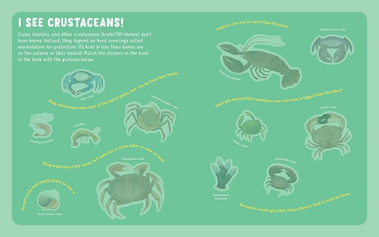 Produktbild: Backpack Explorer Stickers: Ocean Adventure