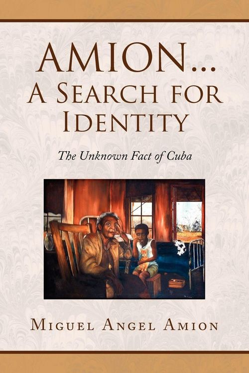 Produktbild: Amion...a Search for Identity