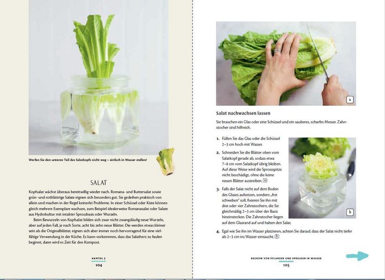 Produktbild: Regrow: Neue Ernte aus Gem&uuml;seresten - Von Avocado bis Zwiebel. Die unkomplizierte Nachzucht aus Samen, Wurzeln, St&auml;ngeln oder Bl&auml;ttern