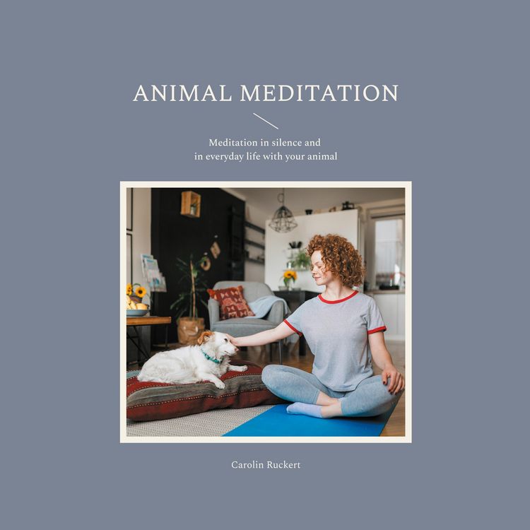 Produktbild: Animal meditation