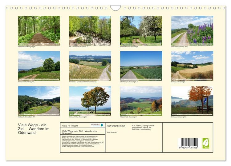 Produktbild: Viele Wege - ein Ziel Wandern im Odenwald (Wandkalender 2026 DIN A3 quer), CALVENDO Monatskalender