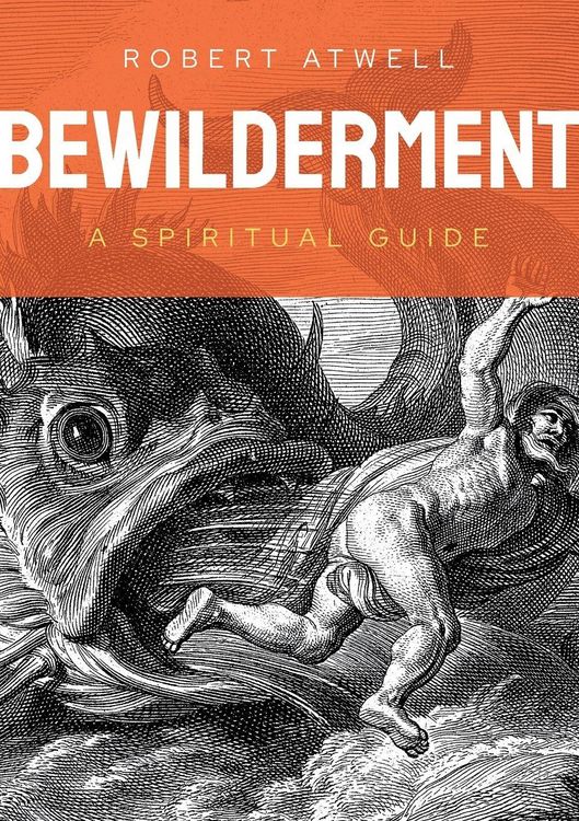 Produktbild: Bewilderment