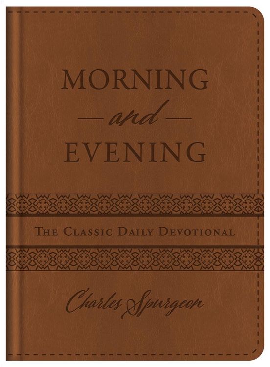 Produktbild: Morning and Evening