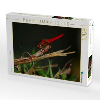 Produktbild: CALVENDO Puzzle Ein Motiv aus dem Kalender "Zarte Sch&ouml;nheiten - Libellen Malaysias" | 1000 Teile Lege-Gr&ouml;&szlig;e 64x48cm Foto-Puzzle f&uuml;r gl&uuml;ckliche Stunden
