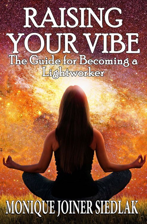Produktbild: Raising Your Vibe (Life On Fire, #2)